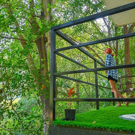 Shell House - Private Stay With Garden View In Arambol Mandrem Kültér fotó