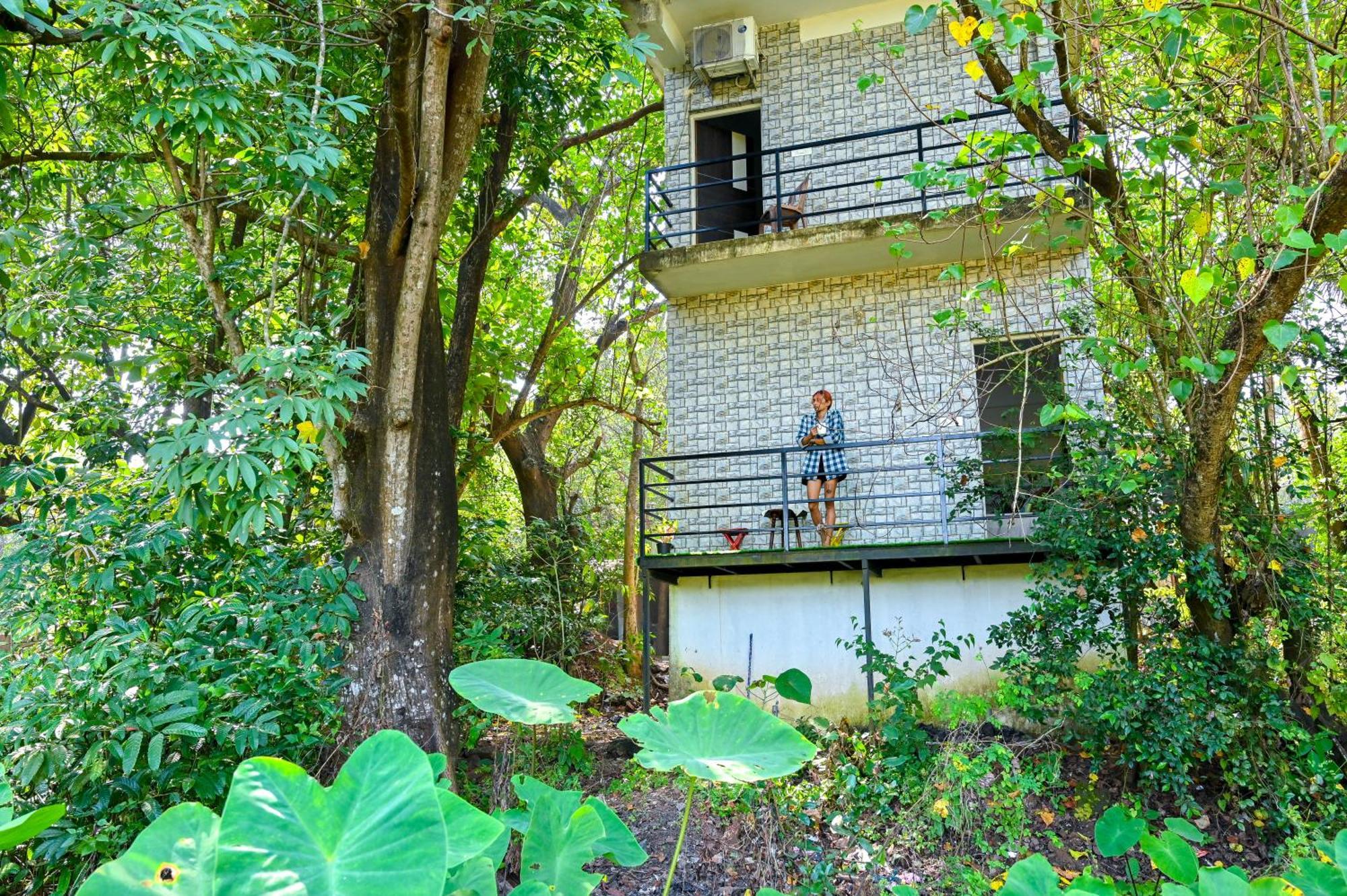 Shell House - Private Stay With Garden View In Arambol Mandrem Kültér fotó