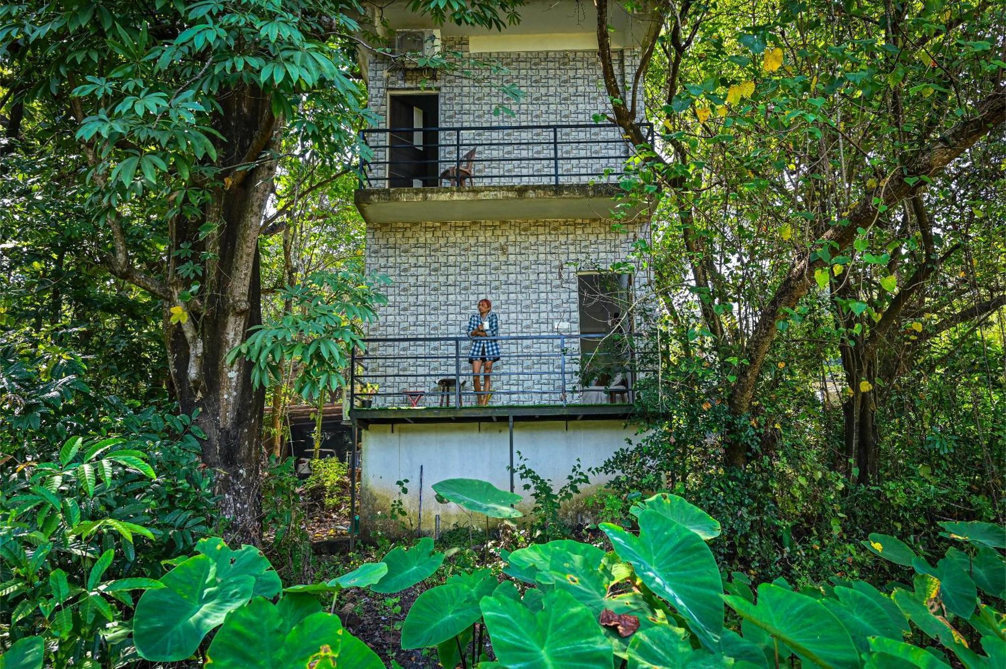 Shell House - Private Stay With Garden View In Arambol Mandrem Kültér fotó